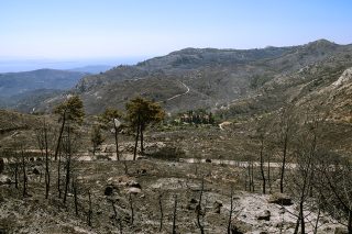 xios fotia